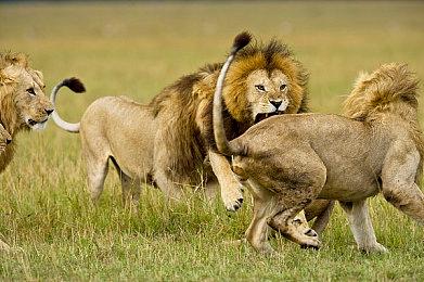 《加油站大亨》DLC“派对时光”正式上线 免费获取